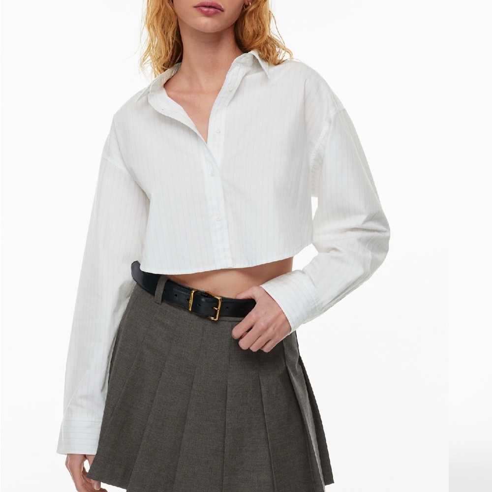 Aritzia- Sunday Best : Poppy Poplin shirt